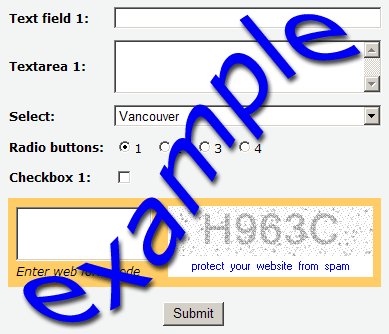 Anti-Spam Secure Form Example