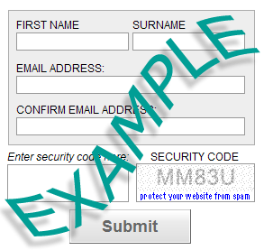 Anti-Spam Secure Form Example 2