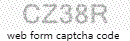 Web Form Code