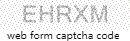 Web Form Code