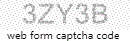 Web Form Code