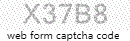 Web Form Code