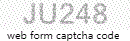 Web Form Code