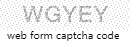 Web Form Code