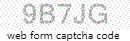 Web Form Code