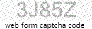 Web Form Code