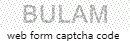 Web Form Code