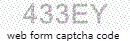 Web Form Code