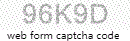 Web Form Code