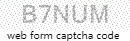 Web Form Code