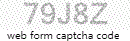 Web Form Code