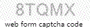 Web Form Code