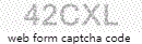 Web Form Code