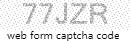 Web Form Code