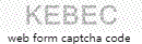Web Form Code