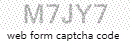 Web Form Code