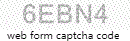 Web Form Code