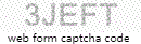 Web Form Code