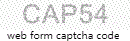 Web Form Code