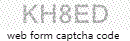 Web Form Code