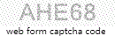Web Form Code