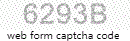 Web Form Code