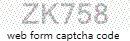 Web Form Code