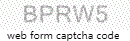 Web Form Code