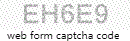 Web Form Code