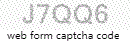 Web Form Code