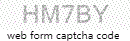 Web Form Code