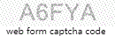 Web Form Code