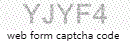 Web Form Code