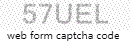 Web Form Code