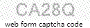 Web Form Code