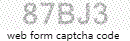 Web Form Code