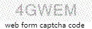Web Form Code