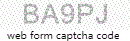 Web Form Code