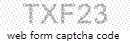 Web Form Code