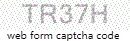 Web Form Code