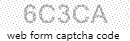 Web Form Code