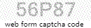 Web Form Code