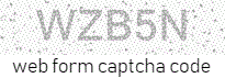 Web Form Code