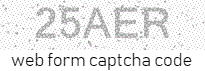 Web Form Code