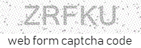 email html form