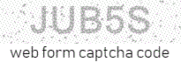 online form entry
