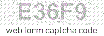 Web Form Code