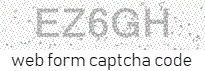 Web Form
                                                          Code