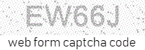 Web Form Code