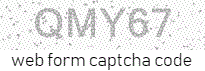 Web Form Code